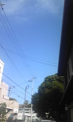 100616_164232.jpg