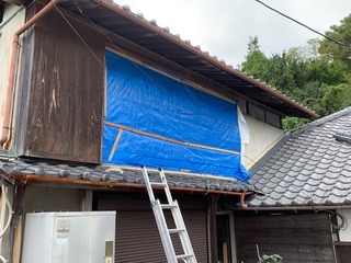IMG_0612.jpg