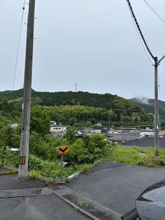IMG_4150.jpg