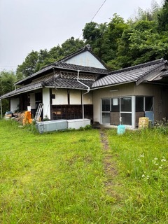 IMG_4176.jpg