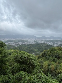 IMG_4268.jpg